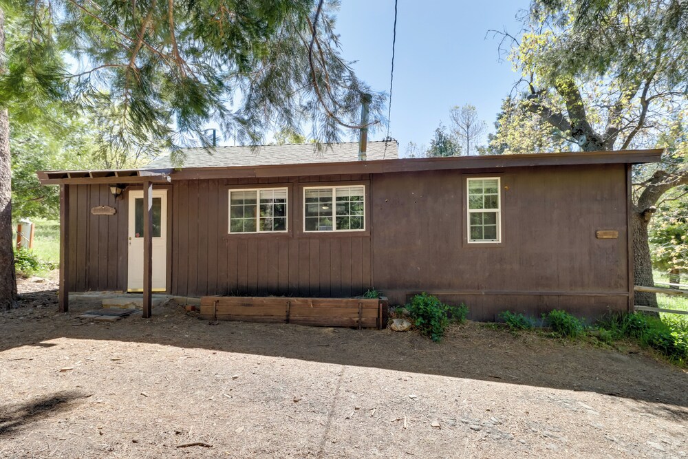 Hike, Bike & Explore: Woodsy Retreat in Mt Laguna!