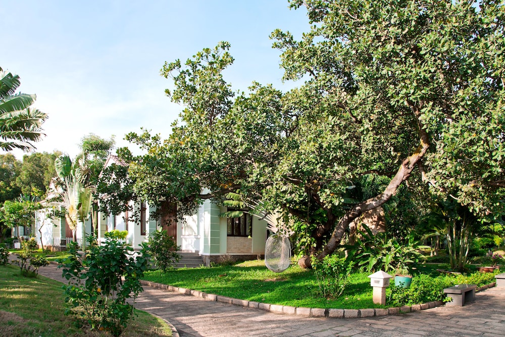 Sao Mai Resort