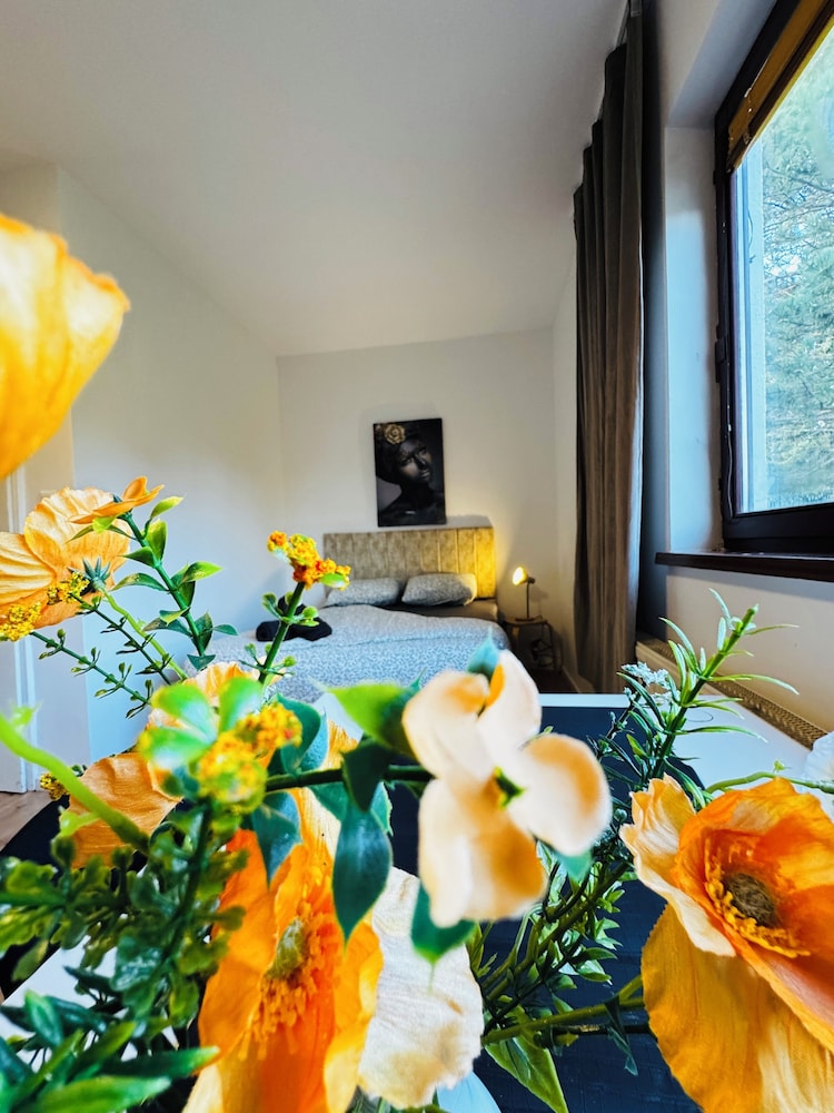 Spacious Budget Home Garden Stay