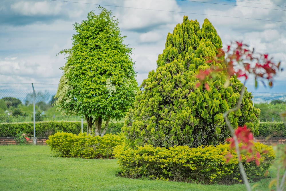Hacienda Araucaria Habitacion 10