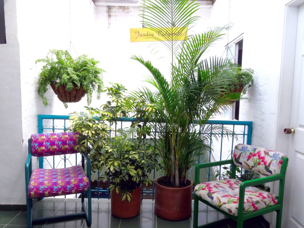 Hostal Pajara Pinta - Hostel