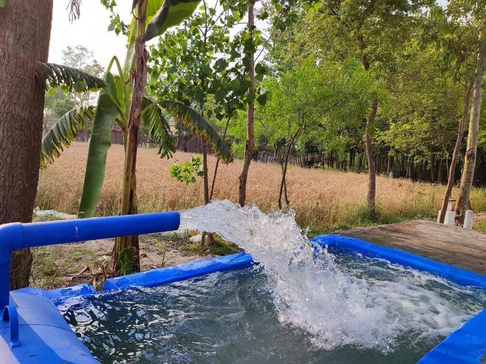 Punjab village farm near Amritsar