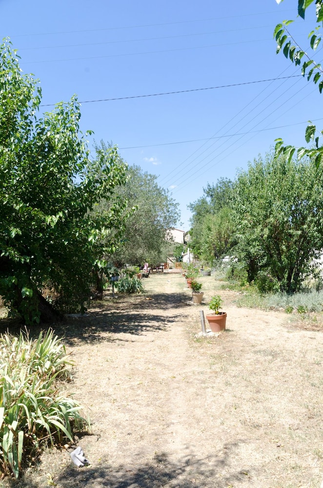 Photo 10
