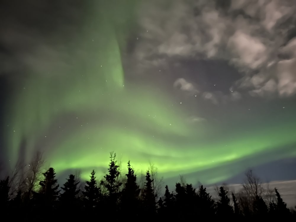 Moose Tracks B  B - Property Image 19