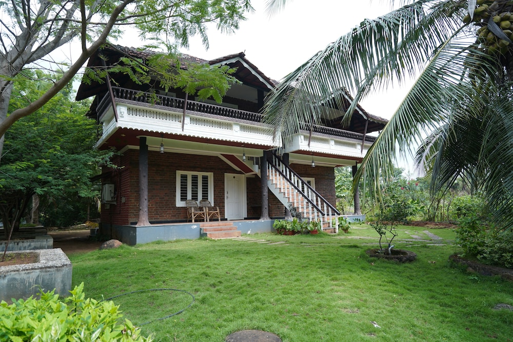 Mango Village
