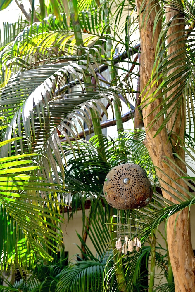 Pacha Tulum Boutique Hotel