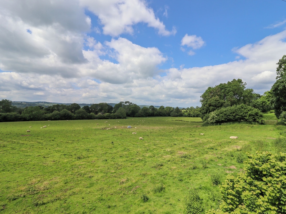 Valley Lodge 4 - North Wales Eco Lodges