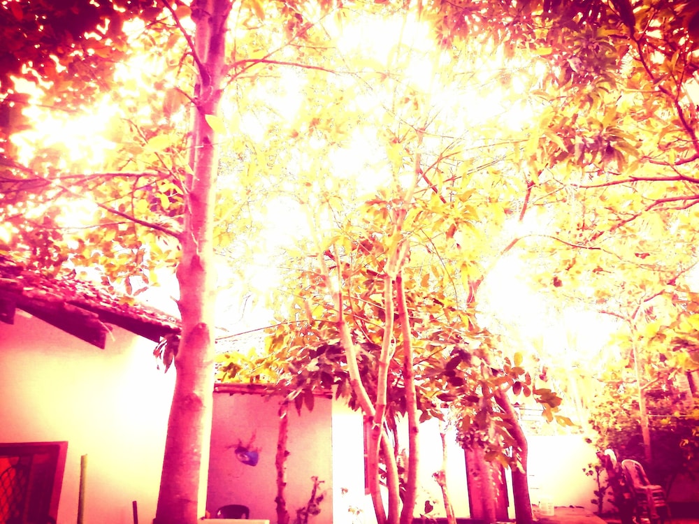 Photo 49