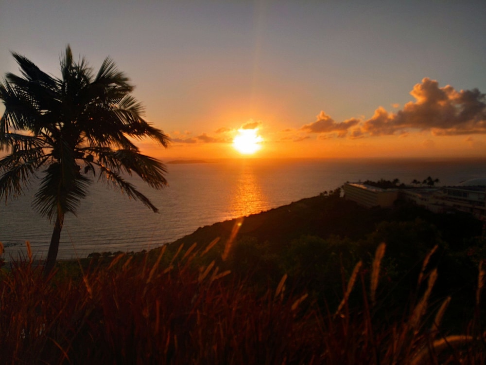 Tropical Breeze Escapes Couples Studio view 4
