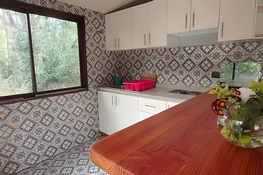 Oceana Suites Pucon Tours