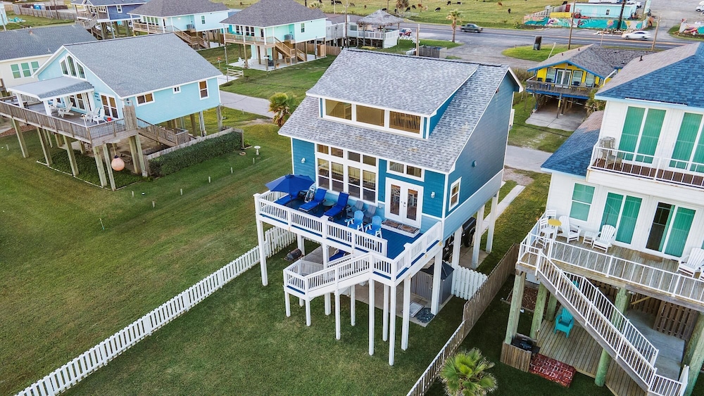 Blue Heron