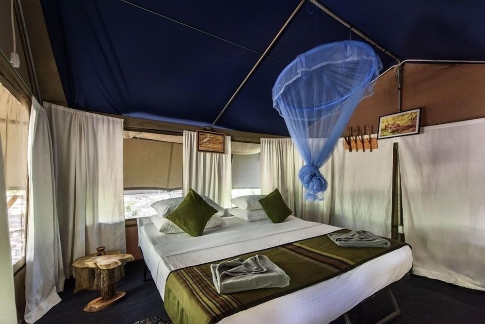 Camp Hasthi