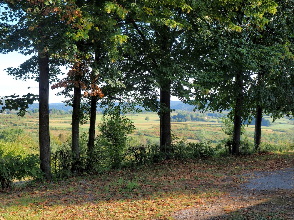 Photo 47