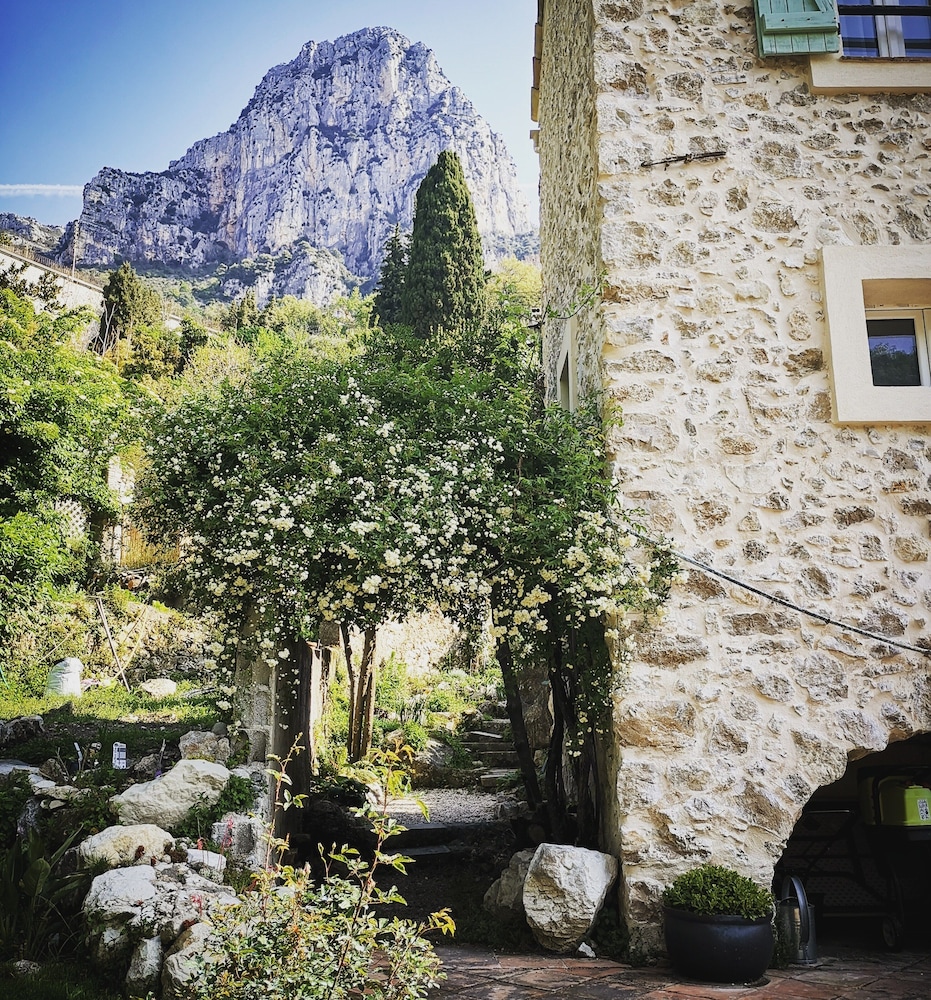 Le Moulin Camoula