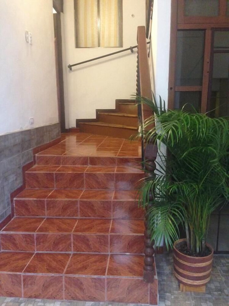 Guesthouse Nelson