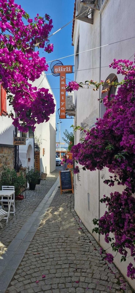 ŞİİRLİ PANSİYON