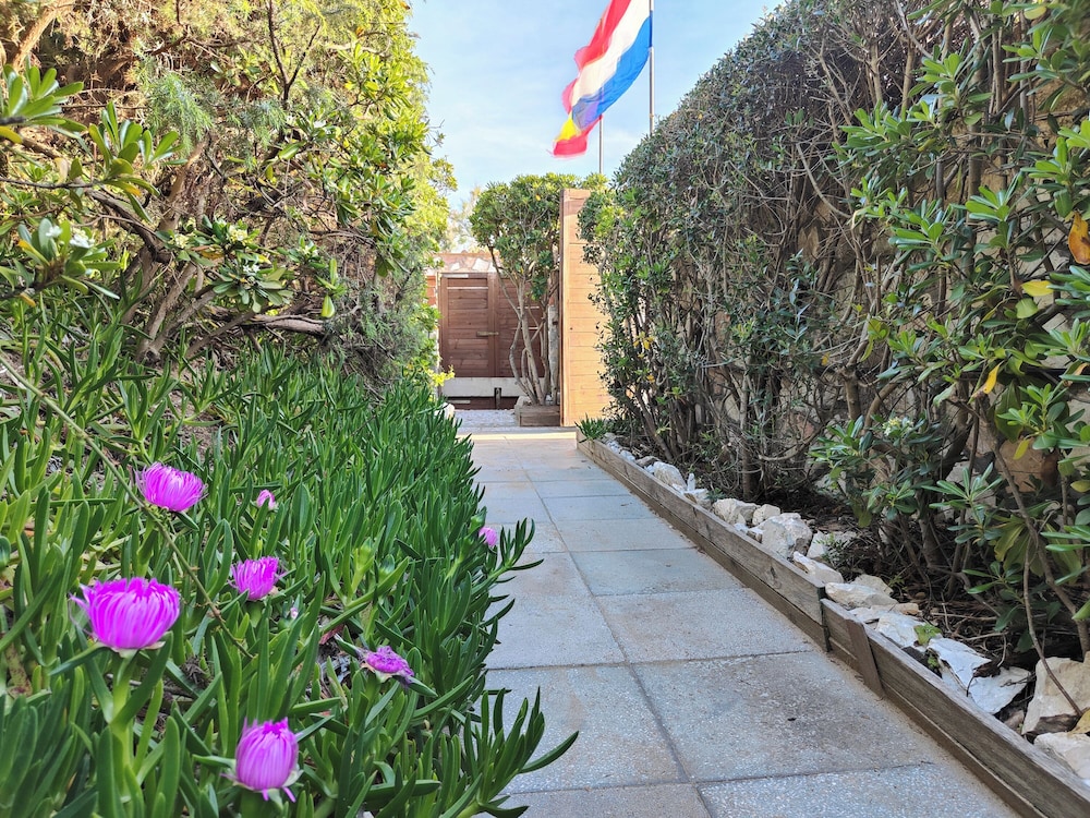 Sea view and ground floor Apartments le Dune