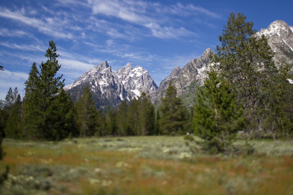 Jenny Lake Lodge — photo 4