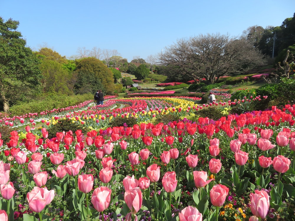Nokonoshima Island Park Villa Sakimori