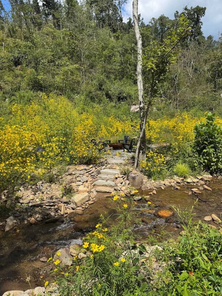 Creekside on Shope hot tub Fire pit