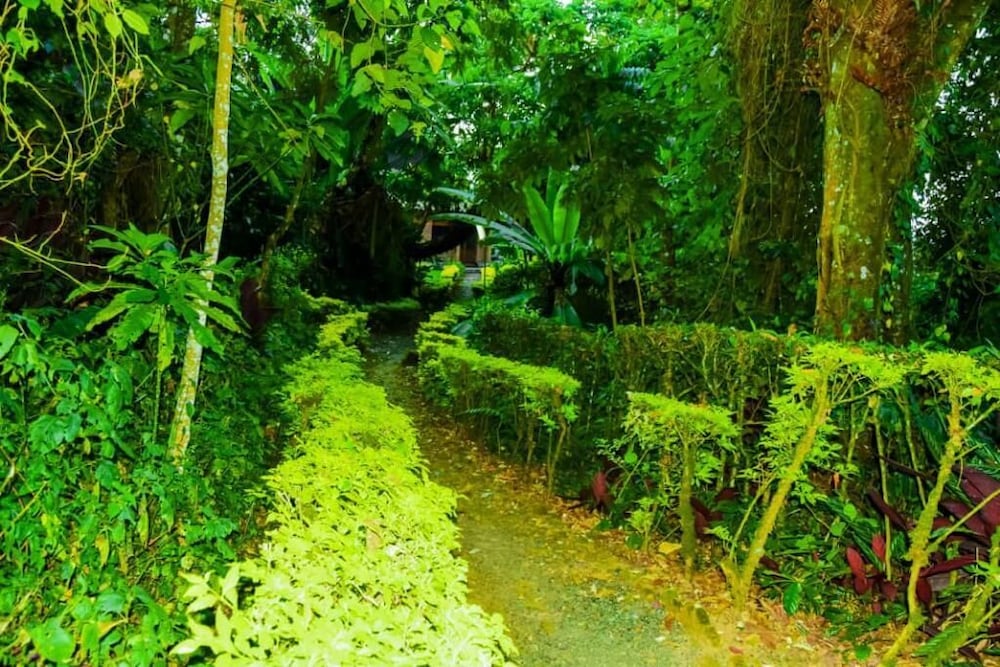 Gisakura Guest House view 3