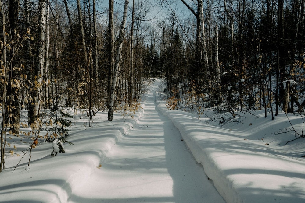 BESIDE Habitat