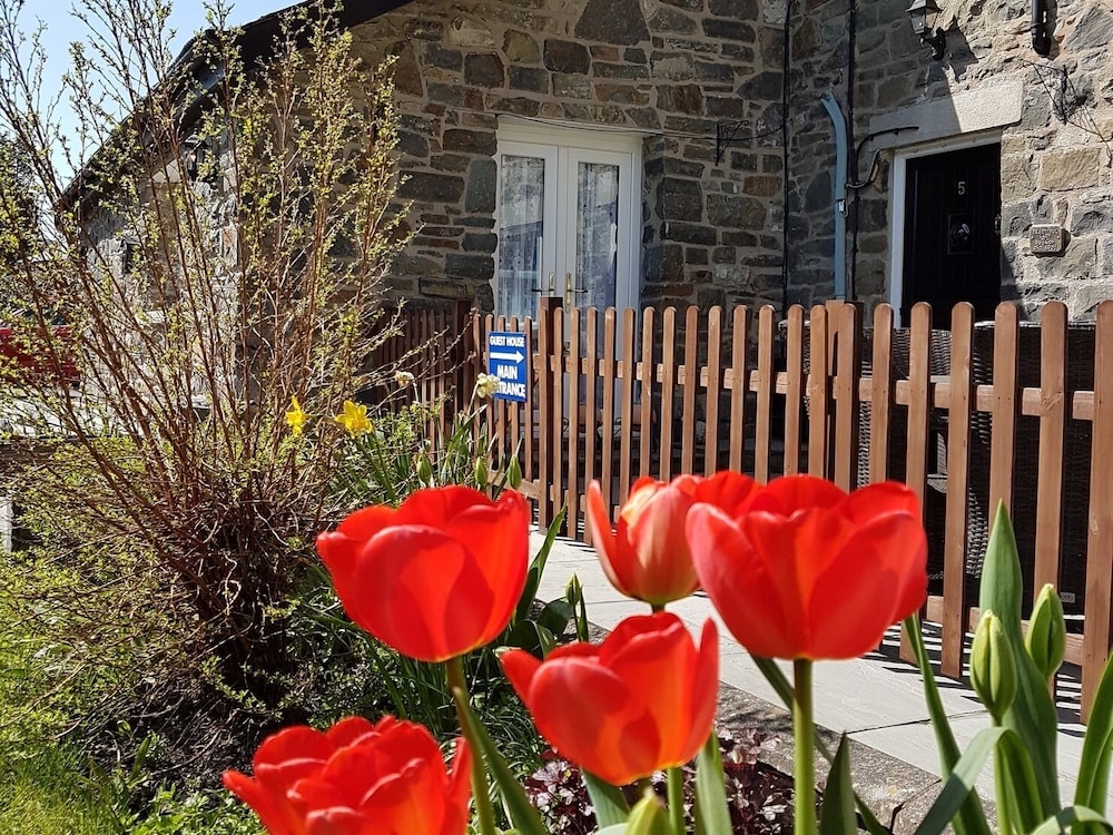 Bronwye Guest House