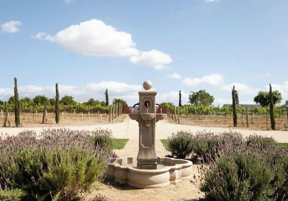 Domaine Chardonnay