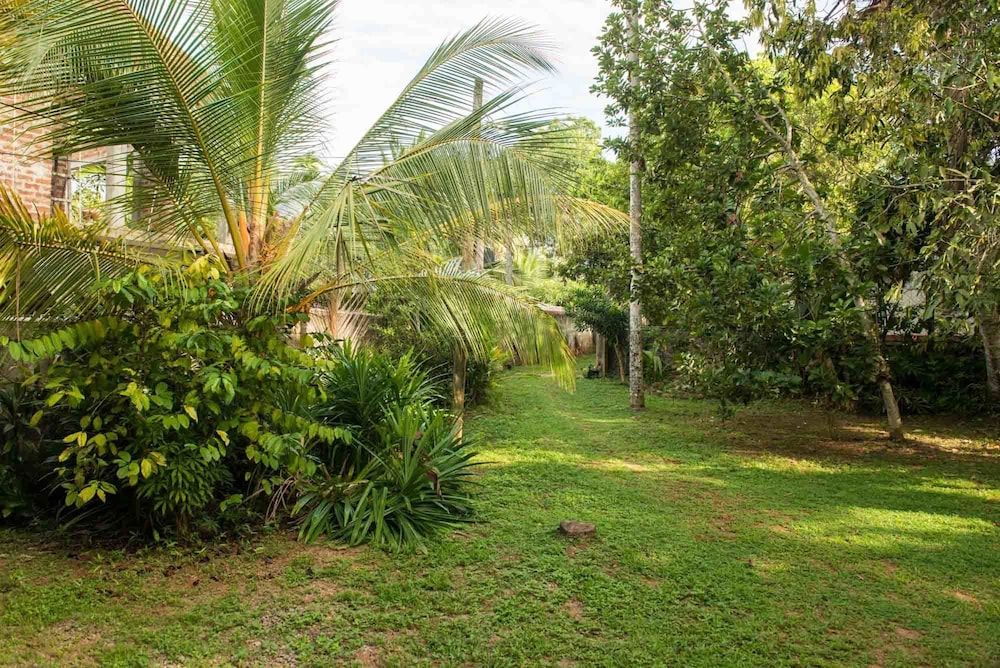 Jungleside House