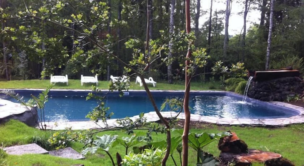 Photo 44