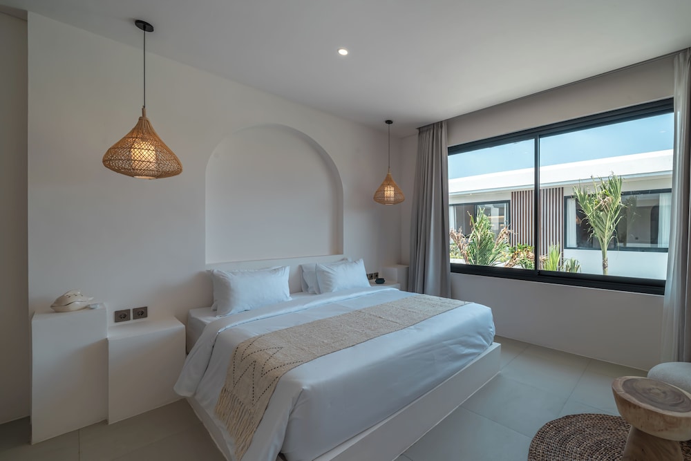 Nova Oasis 1