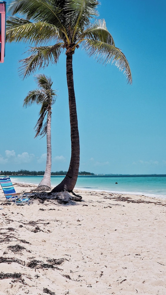NEW Stunning Beachfront Condo at the Coral Beach
