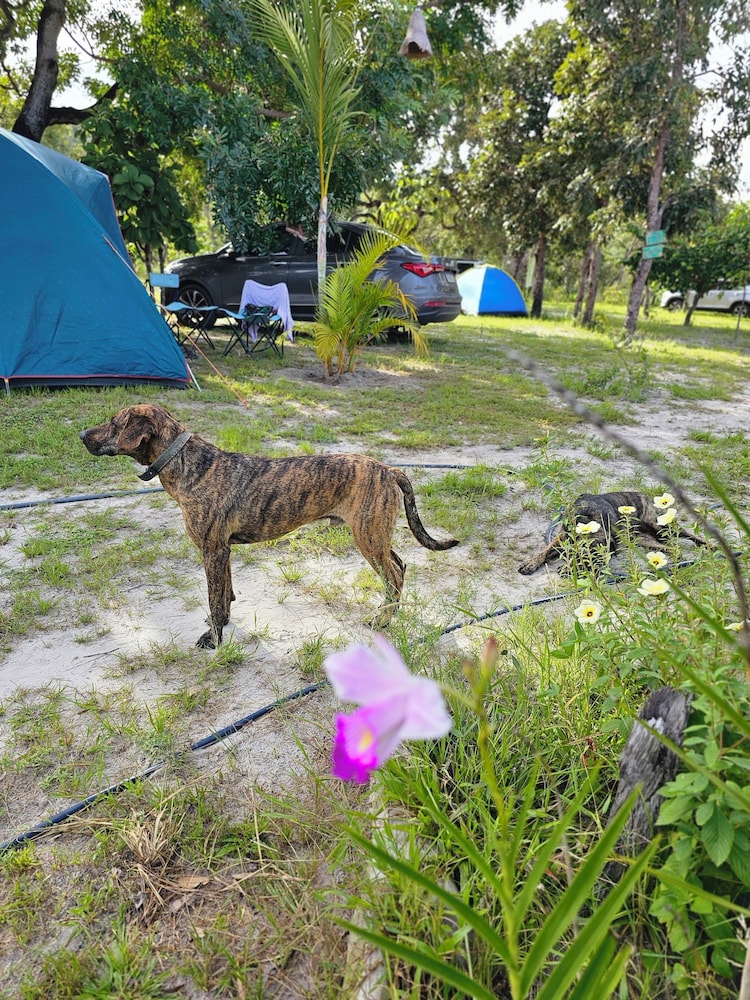 Camping Solar da Colina