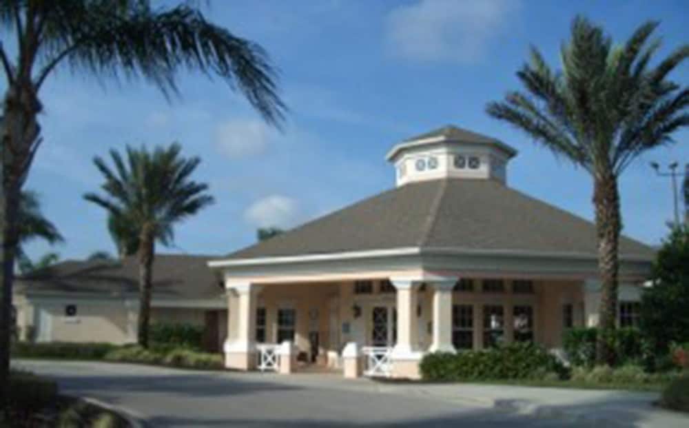 Sun Palm Paradise