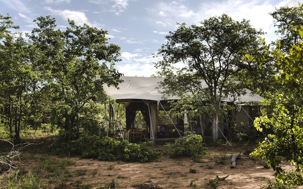Simbavati Trails Camp view 3