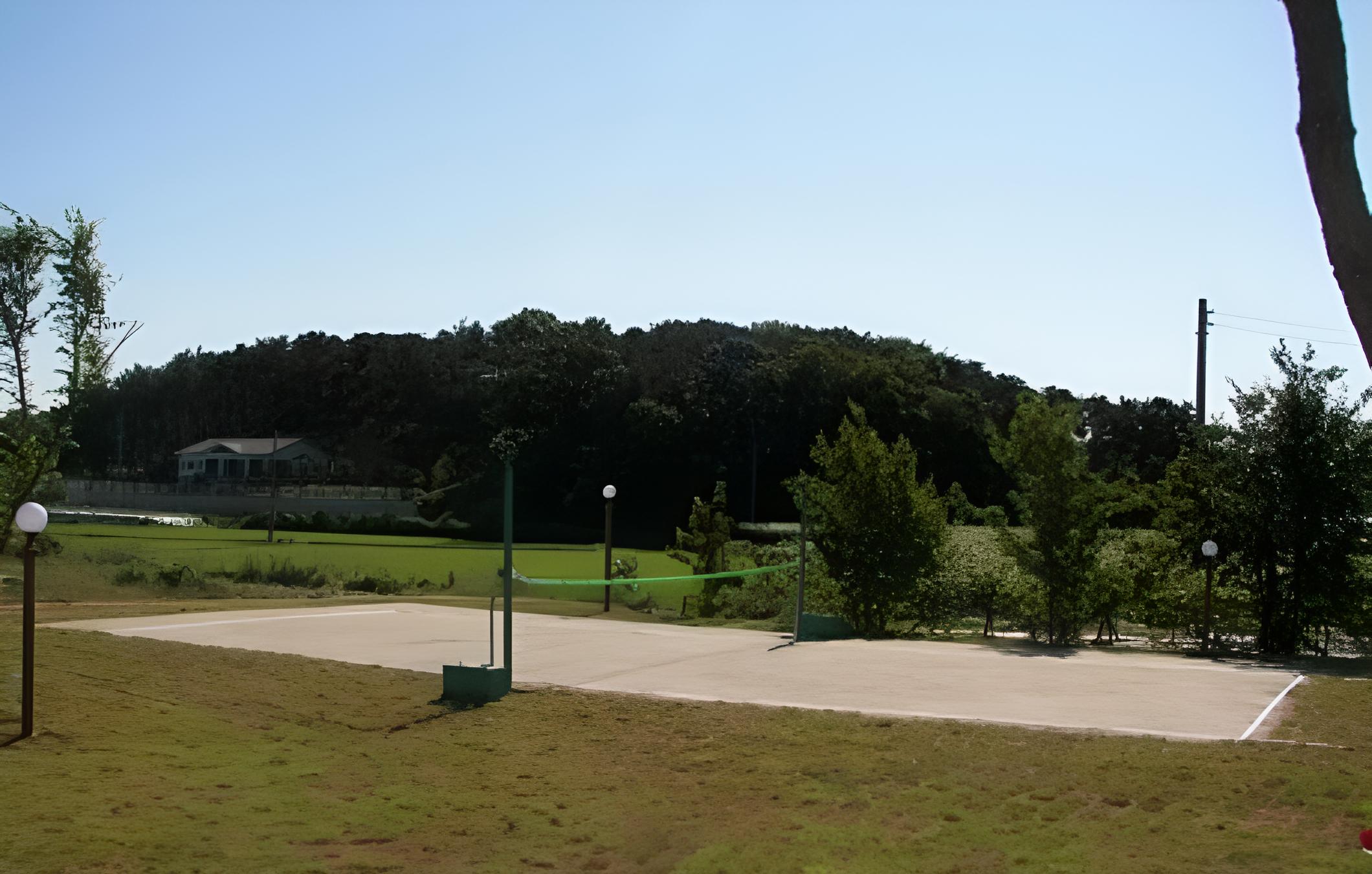 Photo 46