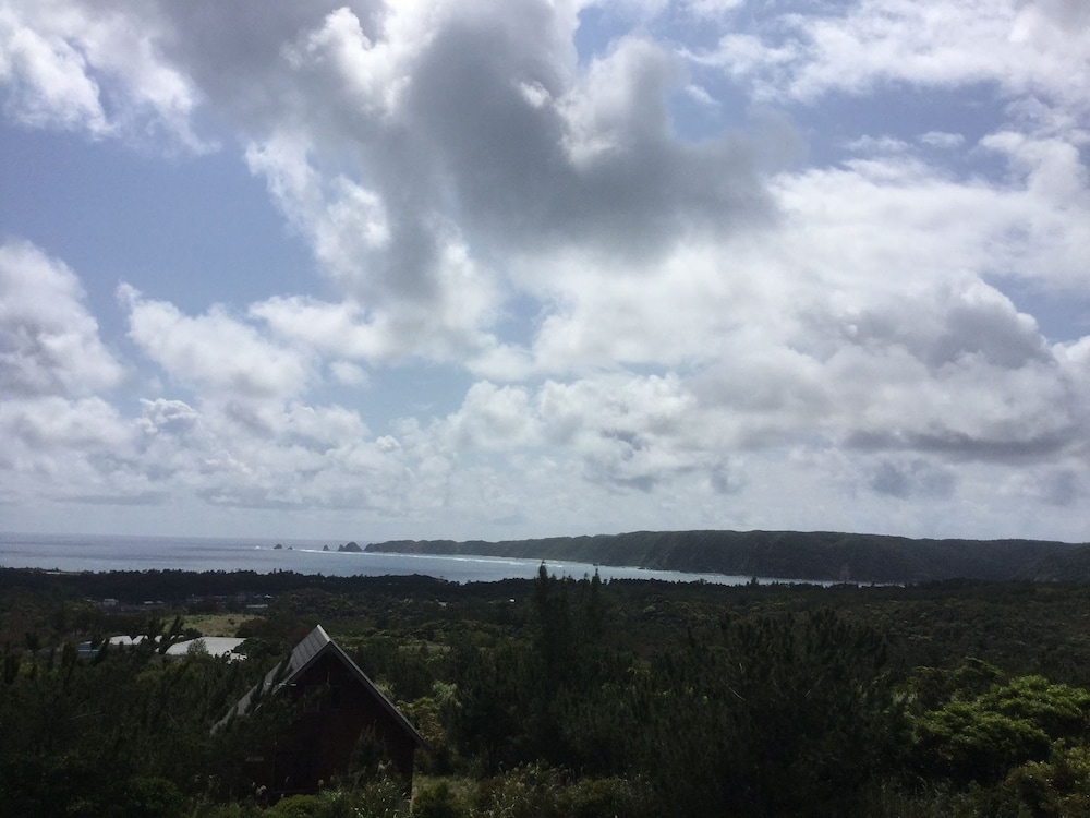 Matayoshi Coffee Farm