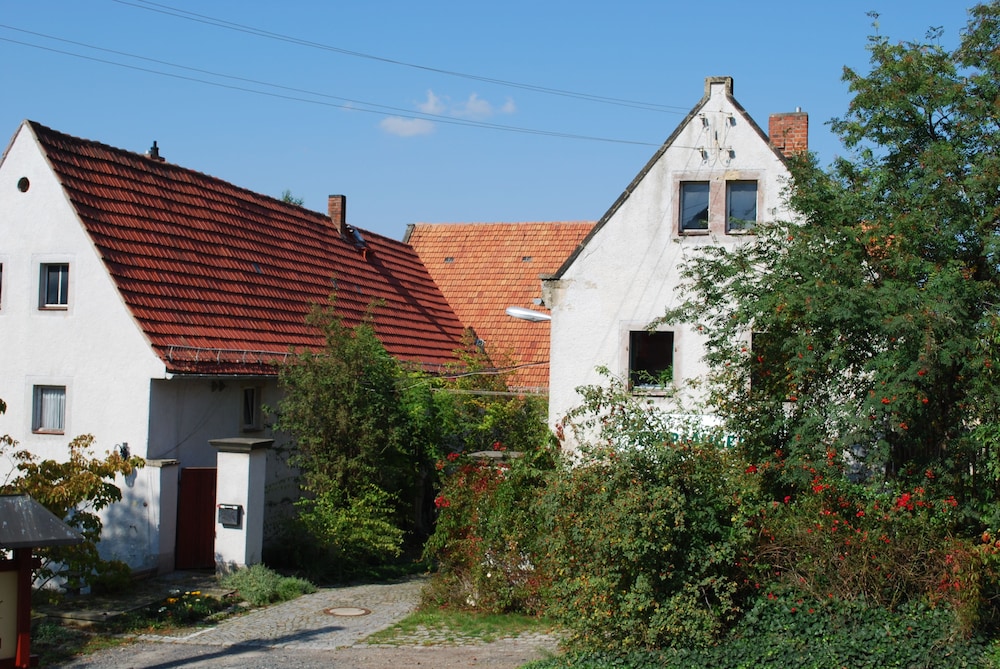 Grüne Idylle im Dresdener Süden