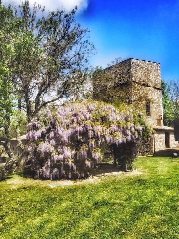 Podere Vitiano