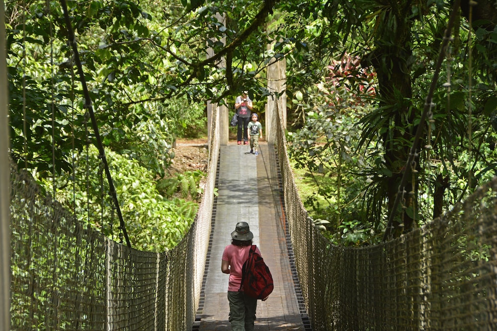 Arenal Observatory Lodge & Trails 94