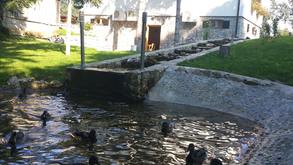 Rustic Inn River 2