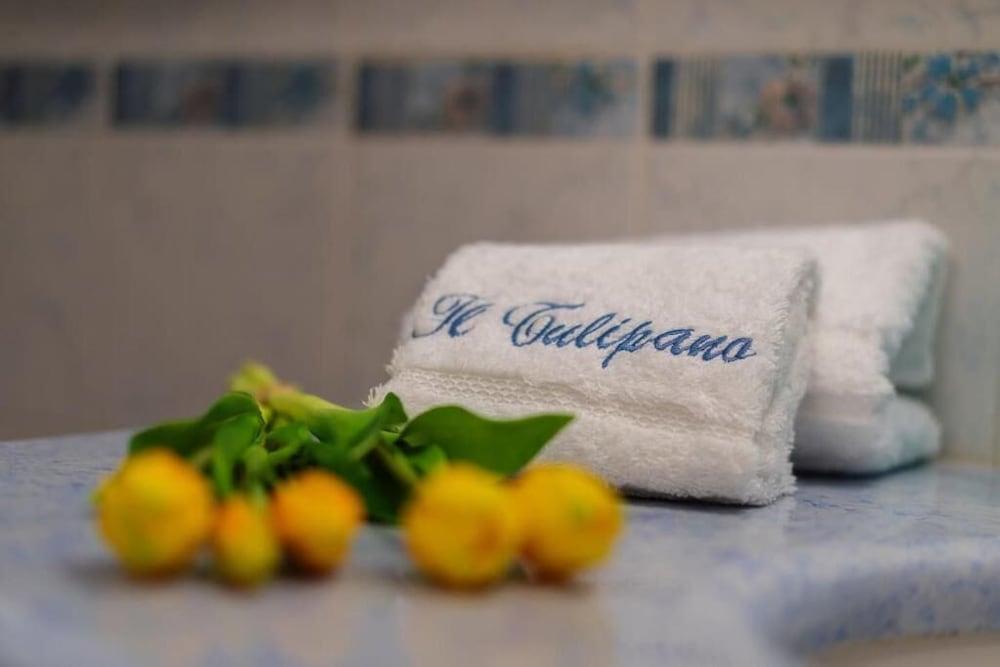 Il Tulipano