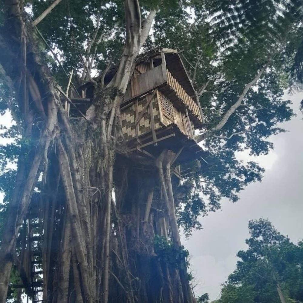 Glowing view tree house and Bangalow