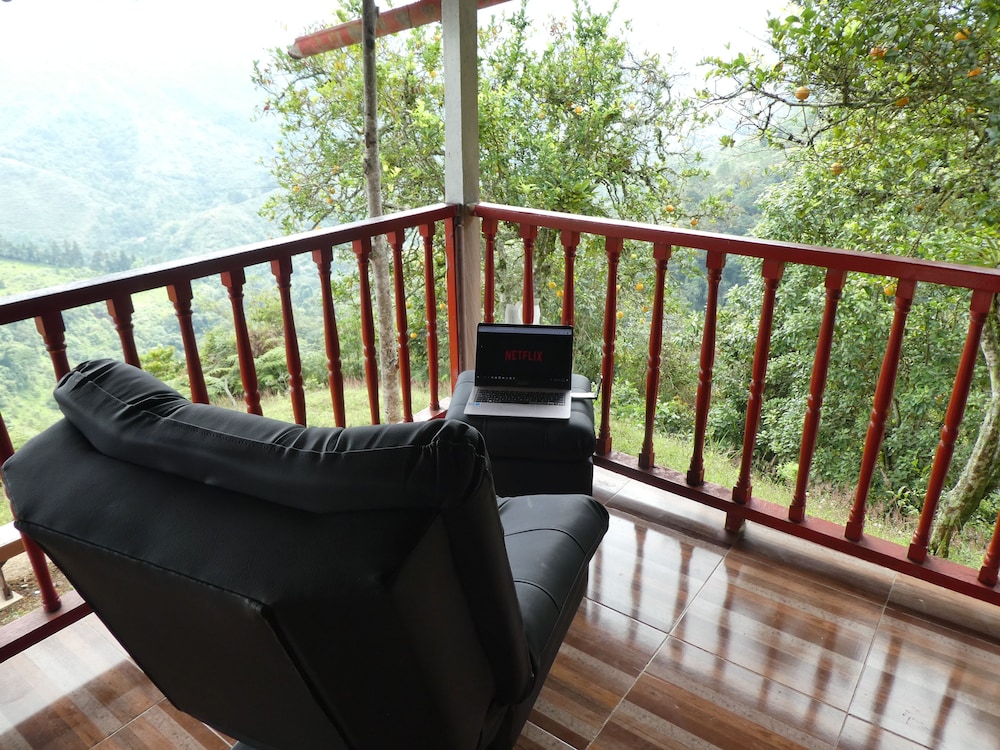 Desarrollo Biodiverso view 5