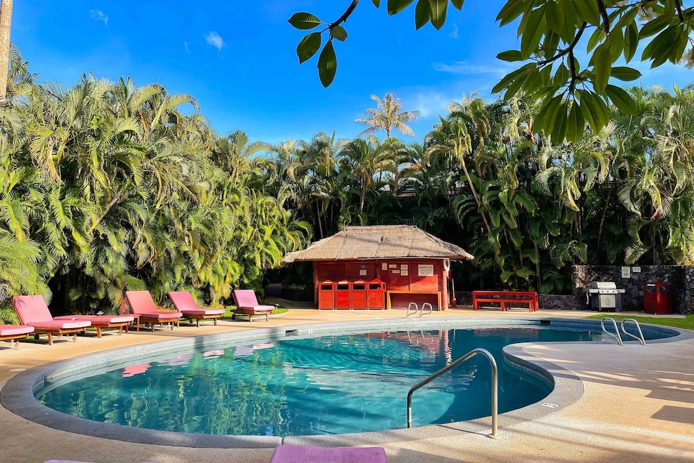 Aina-Nalu C204 - Image 2