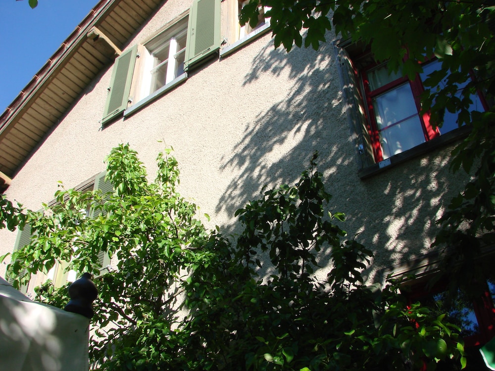 Photo 37