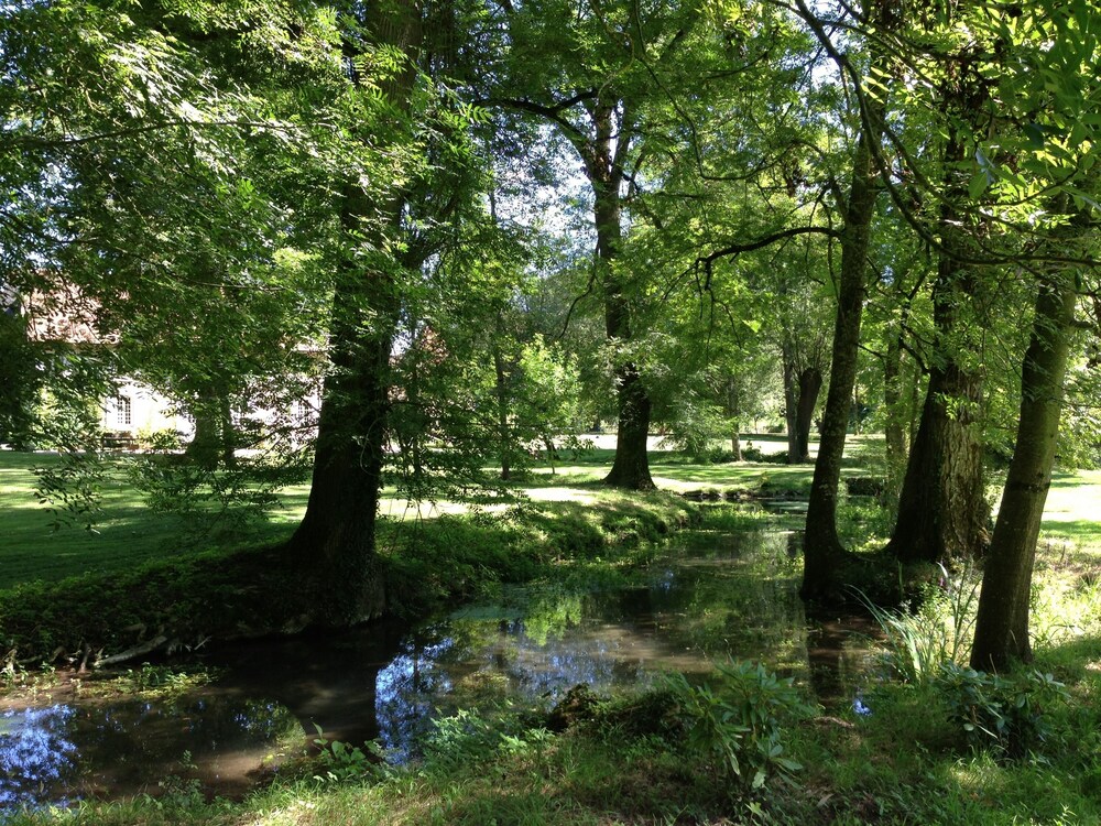 Photo 21