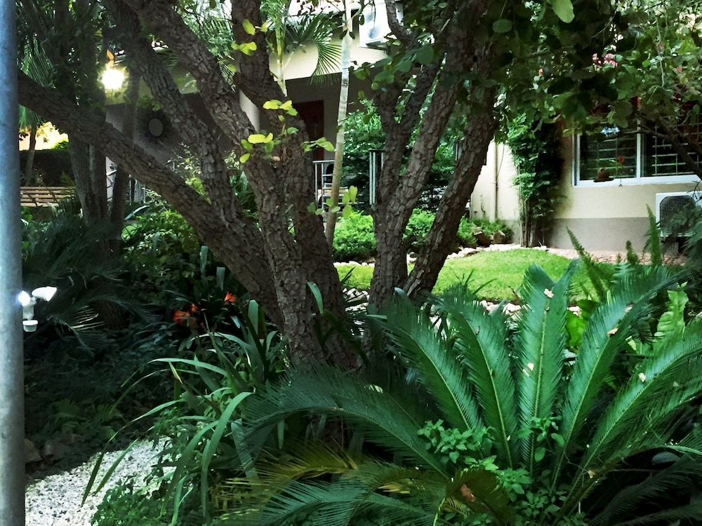 Palmwood Lodge