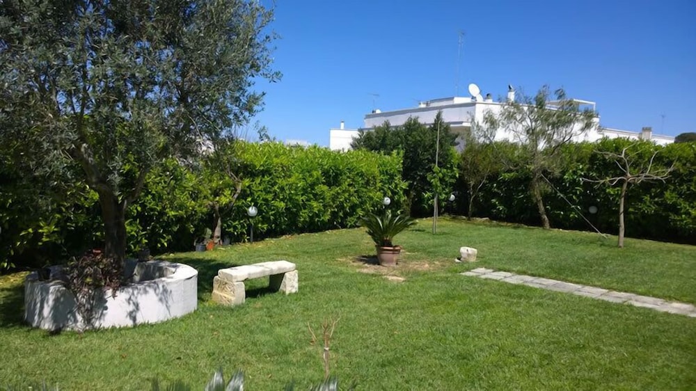 Photo 15