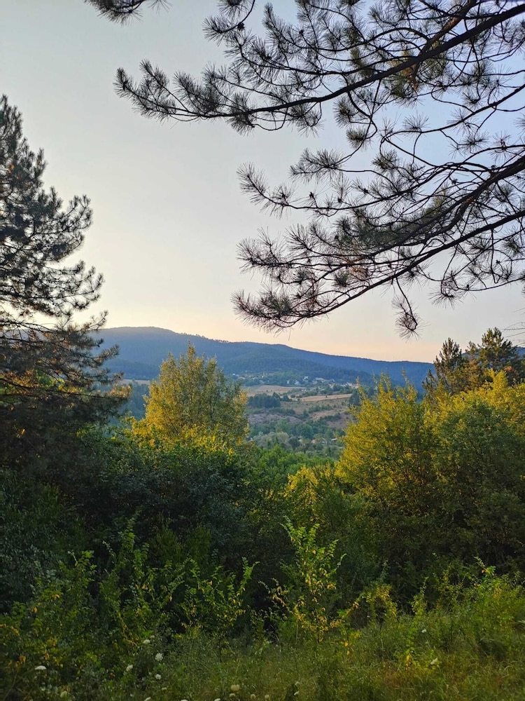 ÇAMPINARI DOĞA EVLERİ & RESTAURANT view 4